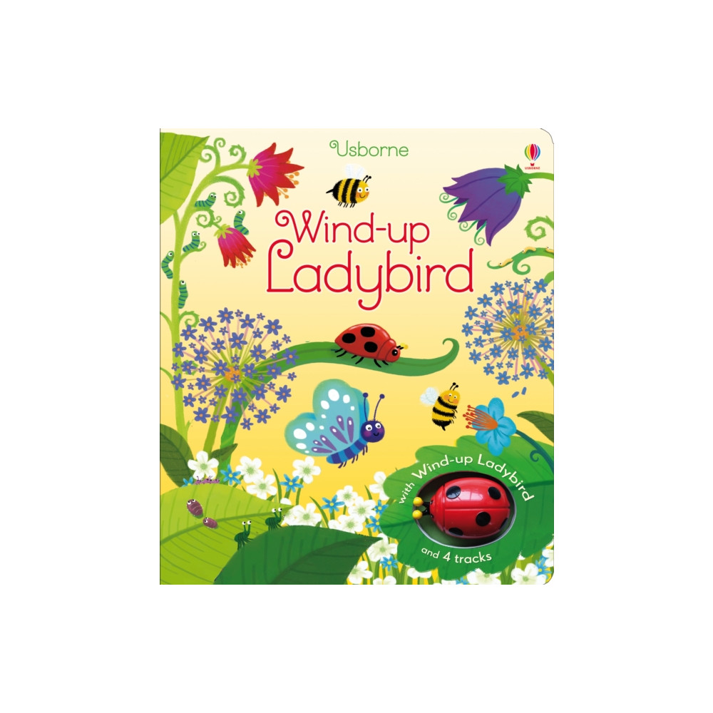 Produktbild för Wind-up Ladybird (bok, board book, eng)