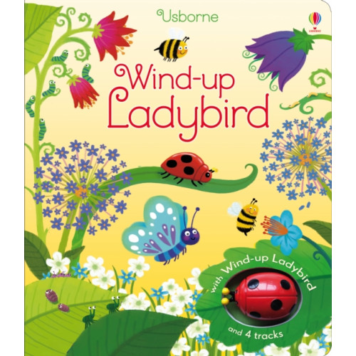 Usborne Publishing Ltd Wind-up Ladybird (bok, board book, eng)