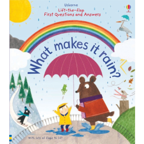 Usborne Publishing Ltd First Questions and Answers: What makes it rain? (bok, board book, eng)