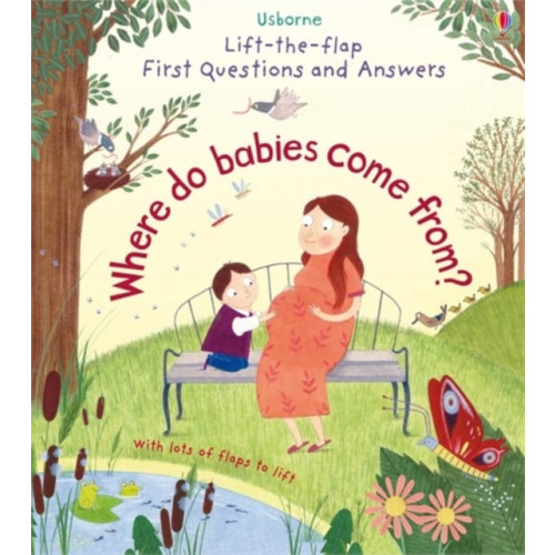 Usborne Publishing Ltd First Questions and Answers: Where do babies come from? (bok, board book, eng)