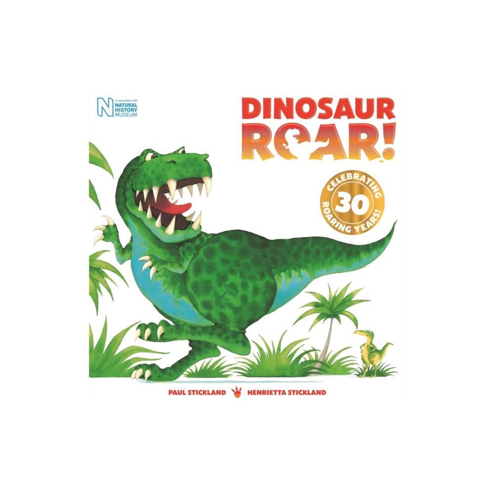 Produktbild för Dinosaur Roar! (häftad, eng)