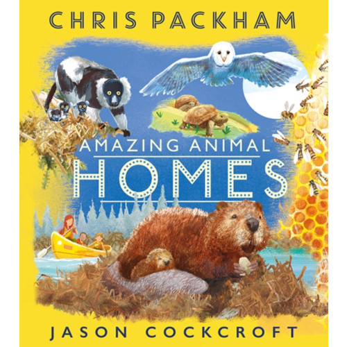 HarperCollins Publishers Amazing Animal Homes (häftad, eng)