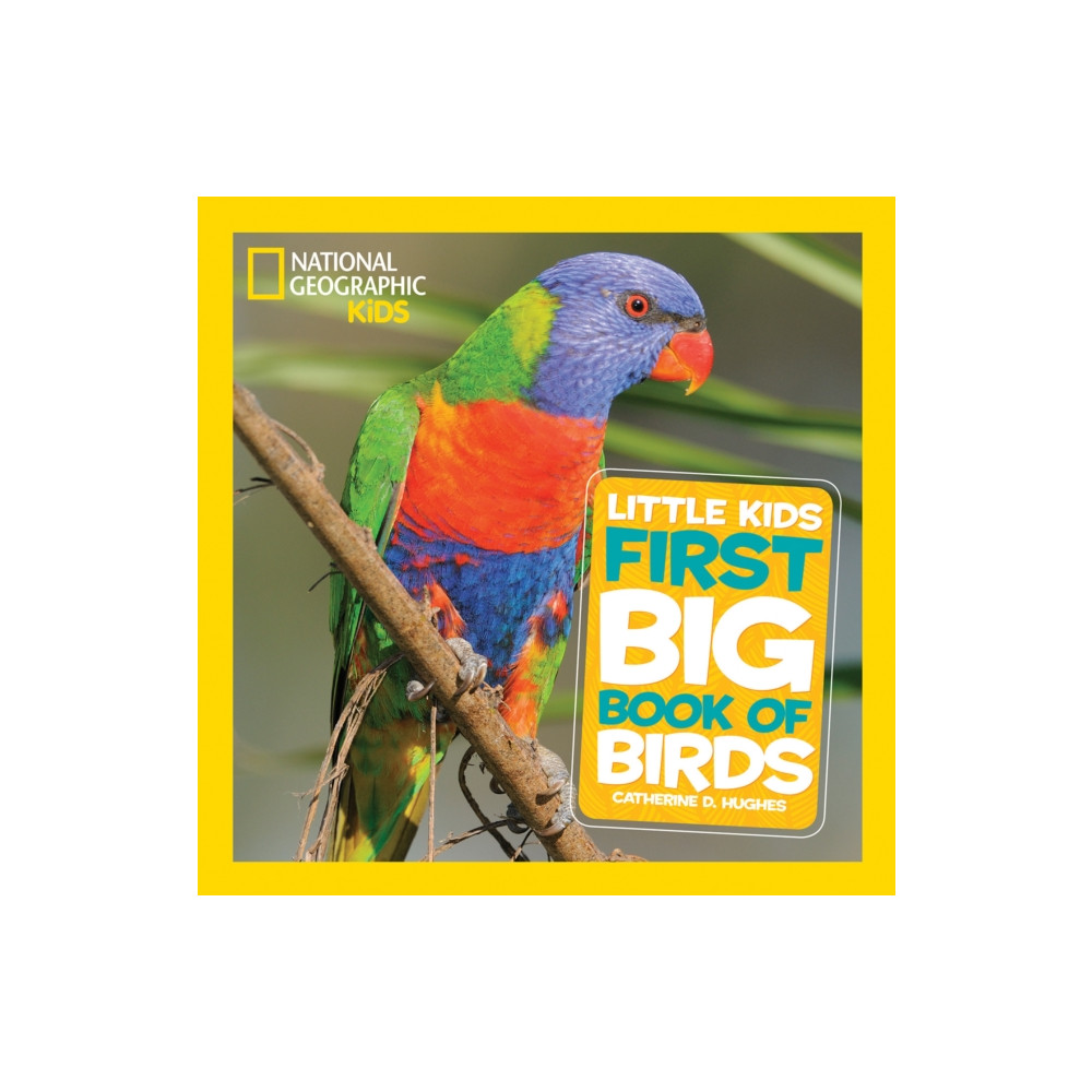 Produktbild för Little Kids First Big Book of Birds (inbunden, eng)