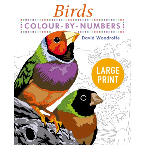 Arcturus publishing ltd Large Print Colour by Numbers Birds (häftad, eng)