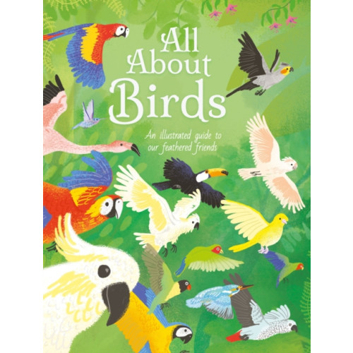 Arcturus publishing ltd All About Birds (inbunden, eng)