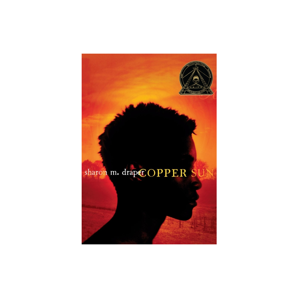Produktbild för Copper Sun (häftad, eng)