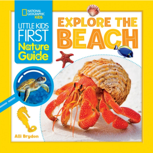 National Geographic Kids Explore the Beach (häftad, eng)