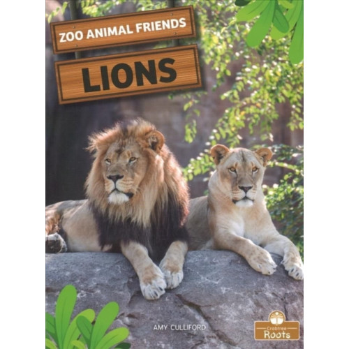 Crabtree Publishing Co,Canada Lions (häftad, eng)