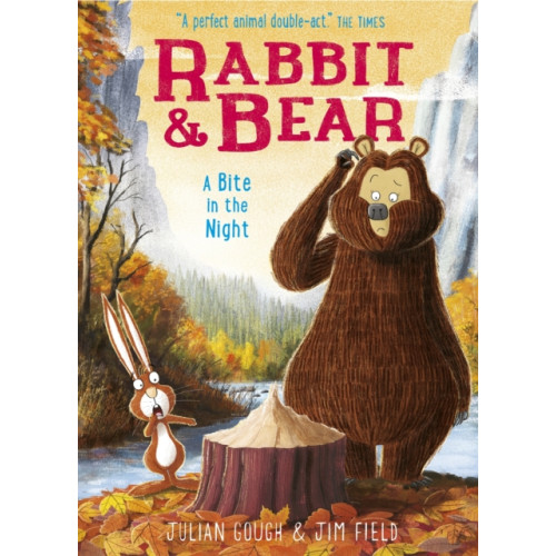 Hachette Children's Group Rabbit and Bear: A Bite in the Night (häftad, eng)