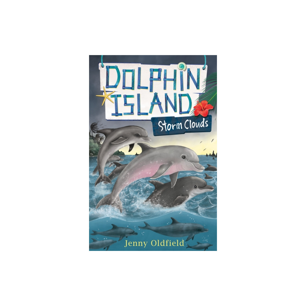 Produktbild för Dolphin Island: Storm Clouds (häftad, eng)