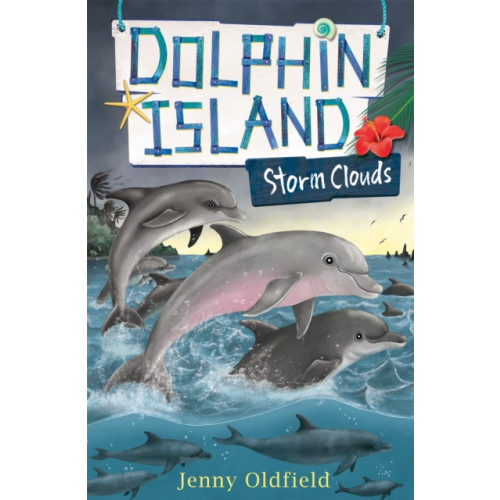 Hachette Children's Group Dolphin Island: Storm Clouds (häftad, eng)