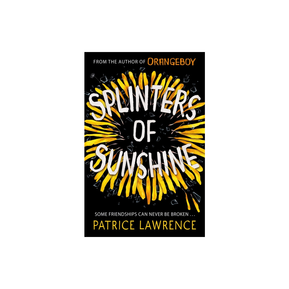 Produktbild för Splinters of Sunshine (häftad, eng)