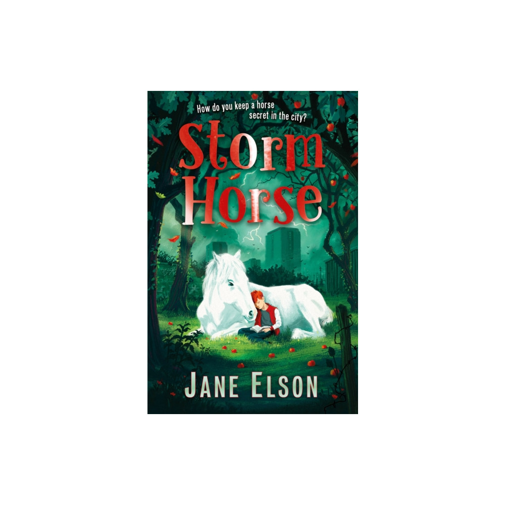 Produktbild för Storm Horse (häftad, eng)