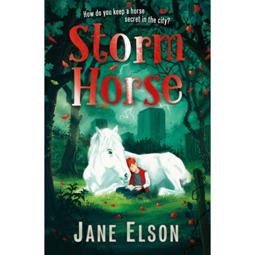 Hachette Children's Group Storm Horse (häftad, eng)
