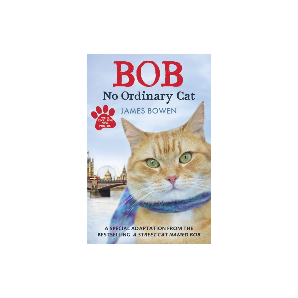 Produktbild för Bob (häftad, eng)