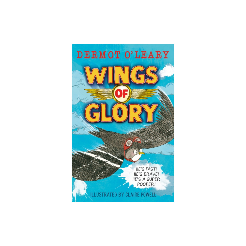 Produktbild för Wings of Glory (häftad, eng)