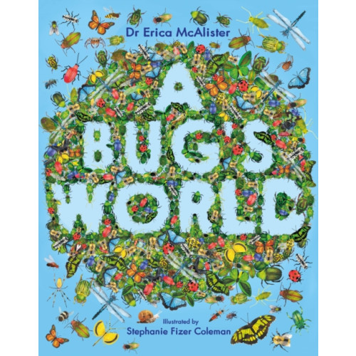 Hachette Children's Group A Bug's World (häftad, eng)