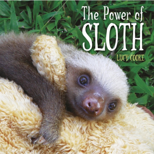 Hachette Children's Group The Power of Sloth (häftad, eng)