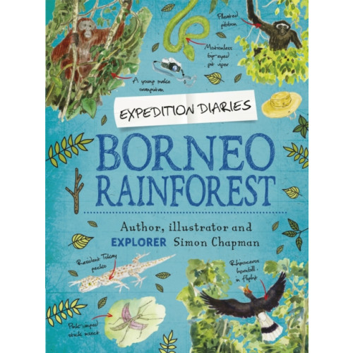 Hachette Children's Group Expedition Diaries: Borneo Rainforest (häftad, eng)