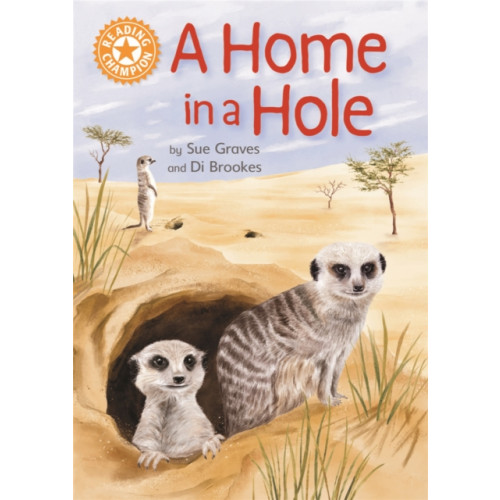 Hachette Children's Group Reading Champion: A Home in a Hole (inbunden, eng)