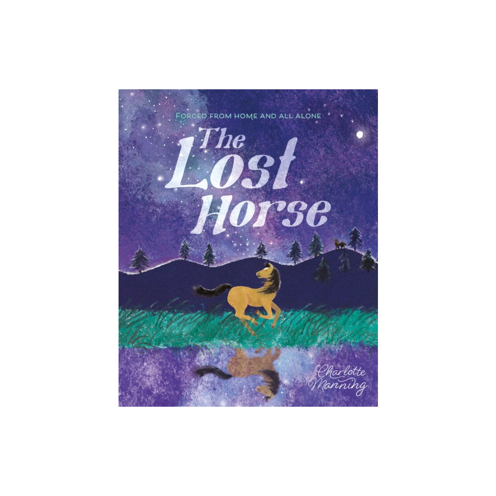Produktbild för The Lost Horse (inbunden, eng)