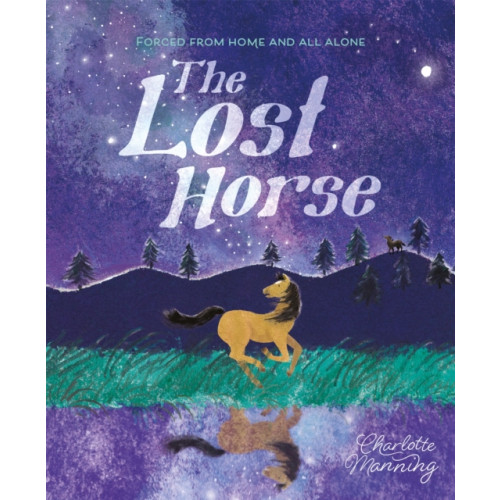 Hachette Children's Group The Lost Horse (inbunden, eng)