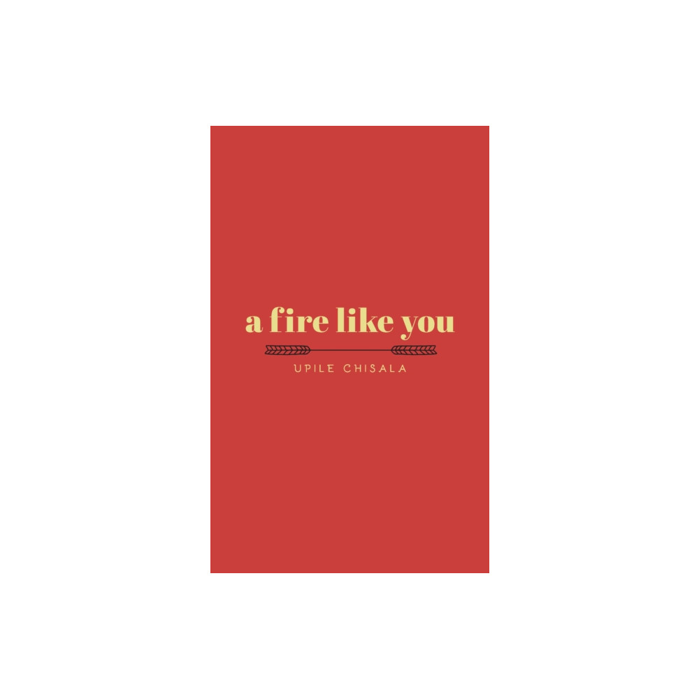 Produktbild för a fire like you (häftad, eng)