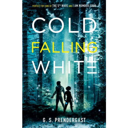 Simon & Schuster Ltd Cold Falling White (häftad, eng)