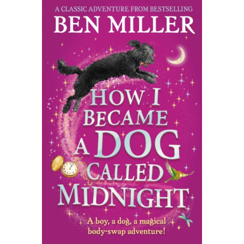 Simon & Schuster Ltd How I Became a Dog Called Midnight (häftad, eng)