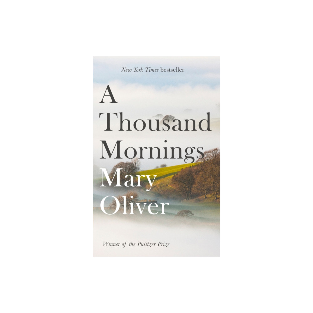 Produktbild för A Thousand Mornings (häftad, eng)