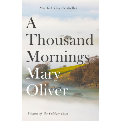 Little, Brown Book Group A Thousand Mornings (häftad, eng)