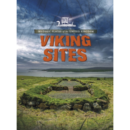 Capstone Global Library Ltd Viking Sites (häftad, eng)