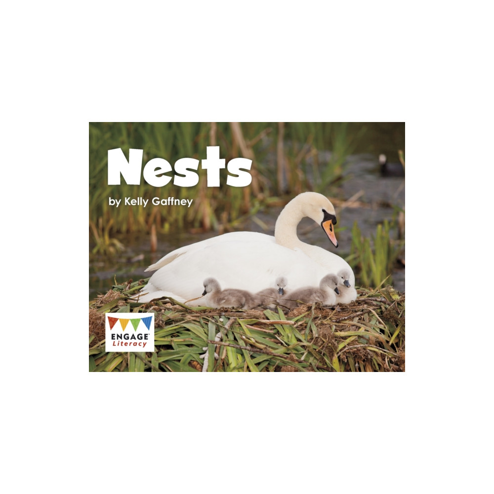 Produktbild för Nests (häftad, eng)