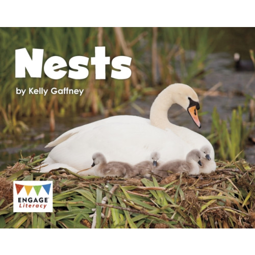 Capstone Global Library Ltd Nests (häftad, eng)