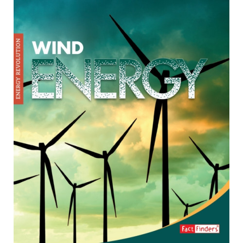 Capstone Global Library Ltd Wind Energy (häftad, eng)