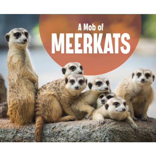 Capstone Global Library Ltd A Mob of Meerkats (häftad, eng)