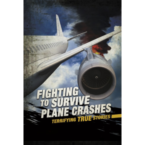 Capstone Global Library Ltd Fighting to Survive Plane Crashes (inbunden, eng)