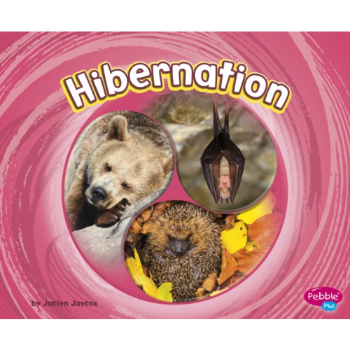 Capstone Global Library Ltd Hibernation (häftad, eng)