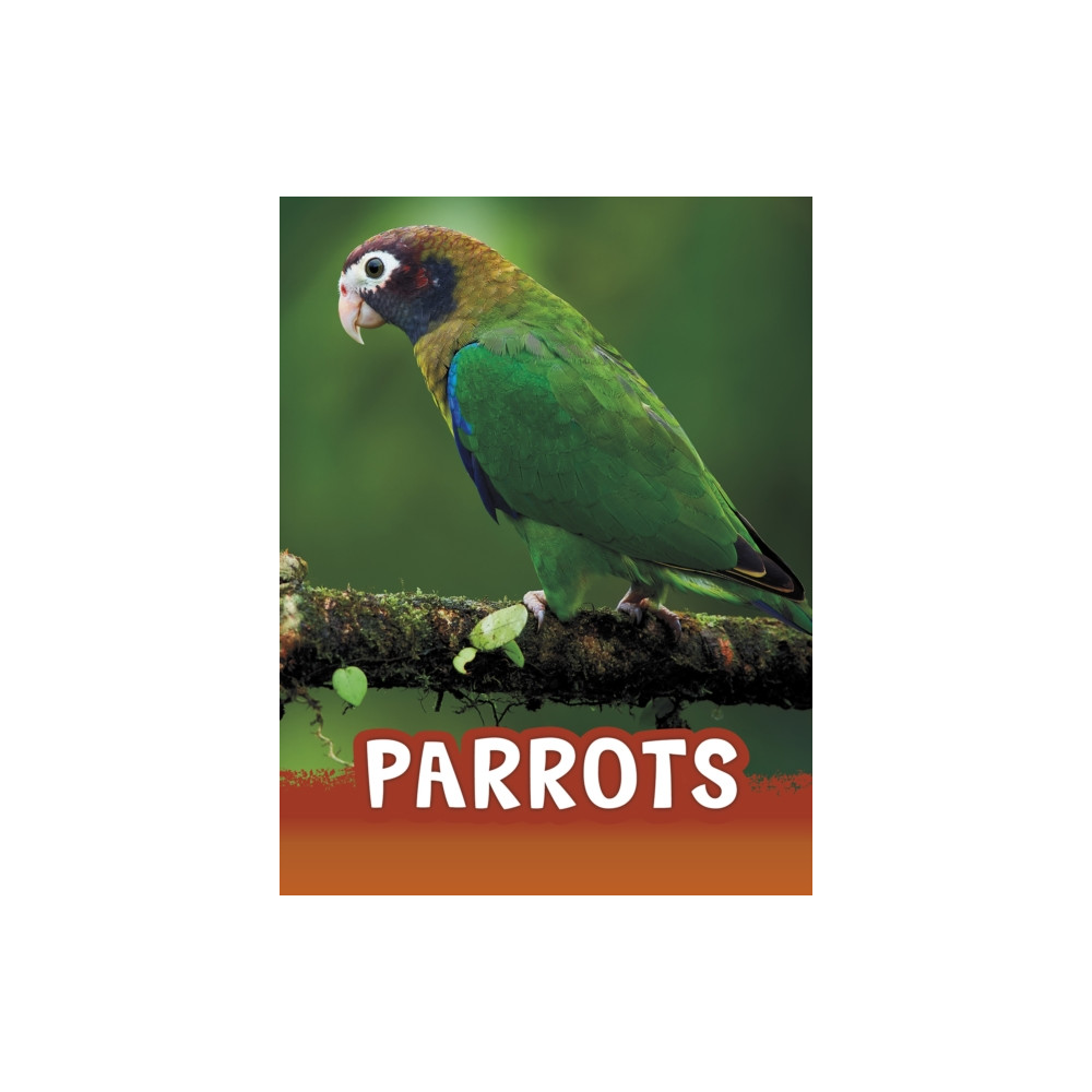 Produktbild för Parrots (häftad, eng)
