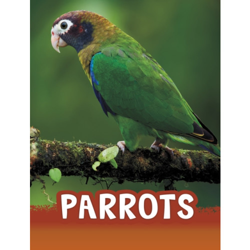 Capstone Global Library Ltd Parrots (häftad, eng)