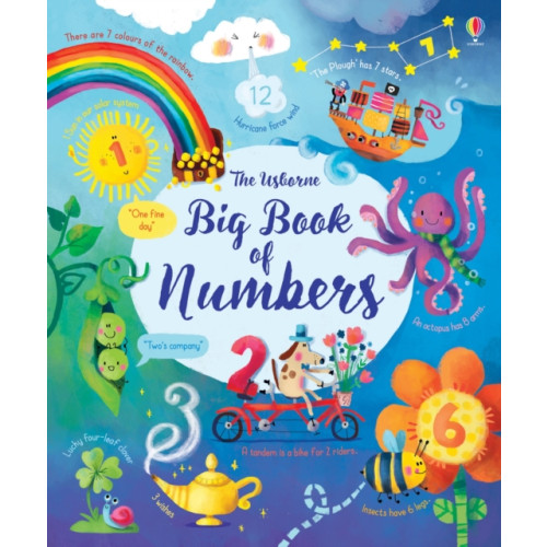 Usborne Publishing Ltd Big Book of Numbers (bok, board book, eng)
