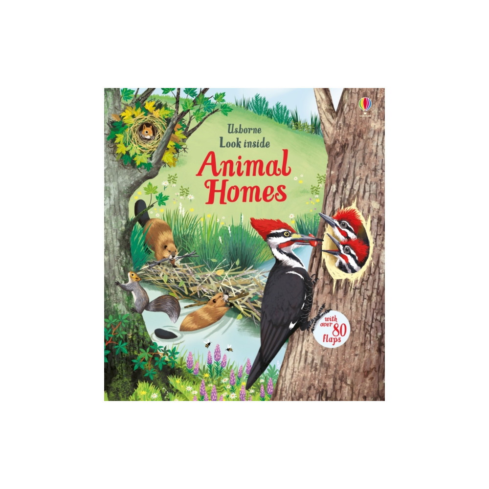 Produktbild för Look Inside Animal Homes (bok, board book, eng)