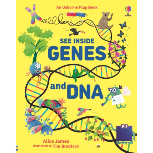 Usborne Publishing Ltd See Inside Genes and DNA (bok, board book, eng)