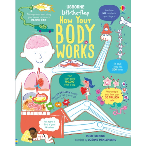 Usborne Publishing Ltd Lift-the-Flap How Your Body Works (bok, board book, eng)