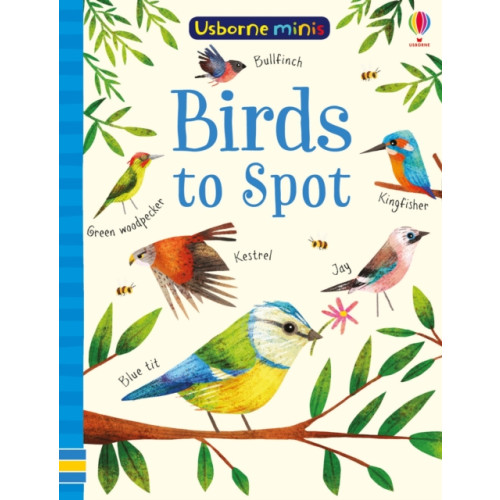 Usborne Publishing Ltd Birds to Spot (häftad, eng)