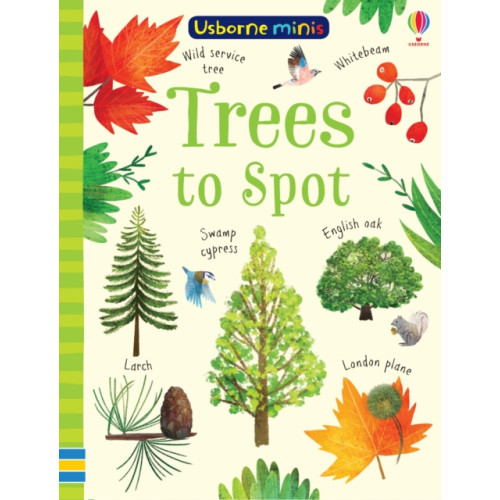 Usborne Publishing Ltd Trees to Spot (häftad, eng)