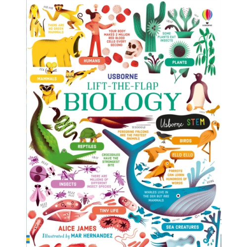 Usborne Publishing Ltd Lift-the-Flap Biology (bok, board book, eng)