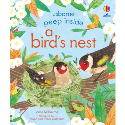 Usborne Publishing Ltd Peep Inside a Bird's Nest (bok, board book, eng)