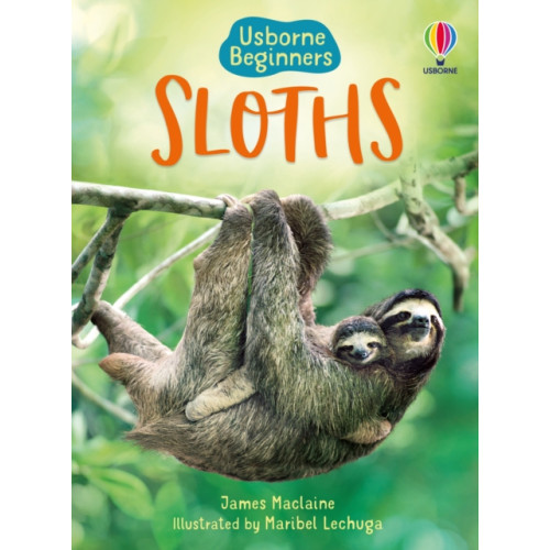 Usborne Publishing Ltd Sloths (inbunden, eng)