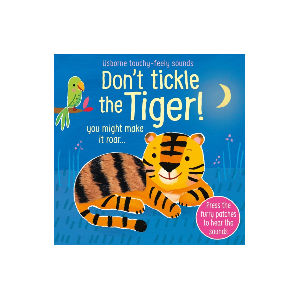 Produktbild för Don't Tickle the Tiger! (bok, board book, eng)